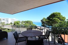 Apartamento en Miami Playa - PASEO 1